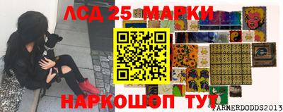 скорость Бийск